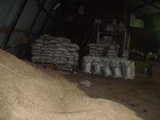 Отруби,  пшеница,  зерноотходы,  овёс,  ячмень,  Ntk/ 89272080486